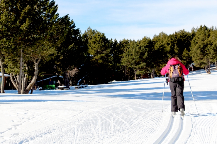 L'any passat, la mitjana diària va ser de 625 visitants.
