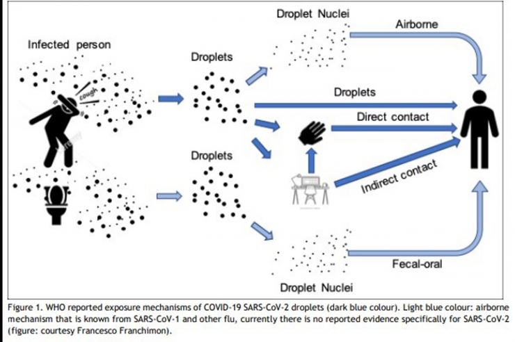 Un gràfic de la transmissió del virus.