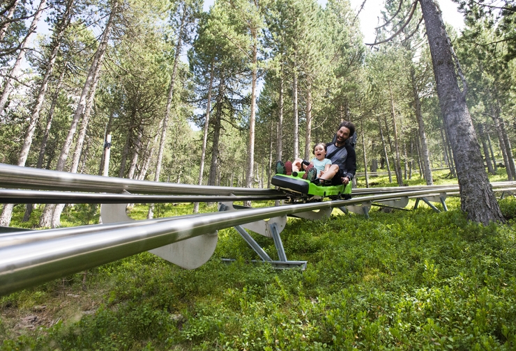 Usuaris del tobotronc.