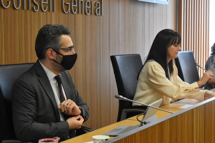 El ministre de Finances, Eric Jover, aquest divendres al Consell General.
