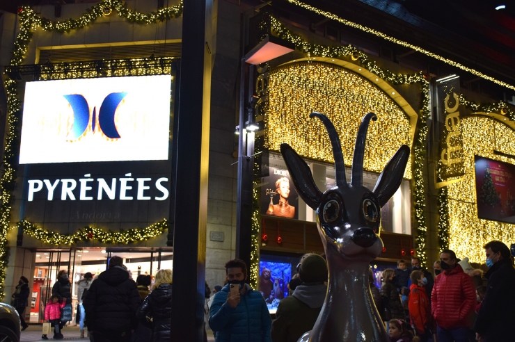 Un dels animals que es poden veure en el recorregut proposat.