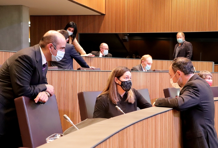 El cap de Govern, Xavier Espot, aquest dijous al ple del Consell General.