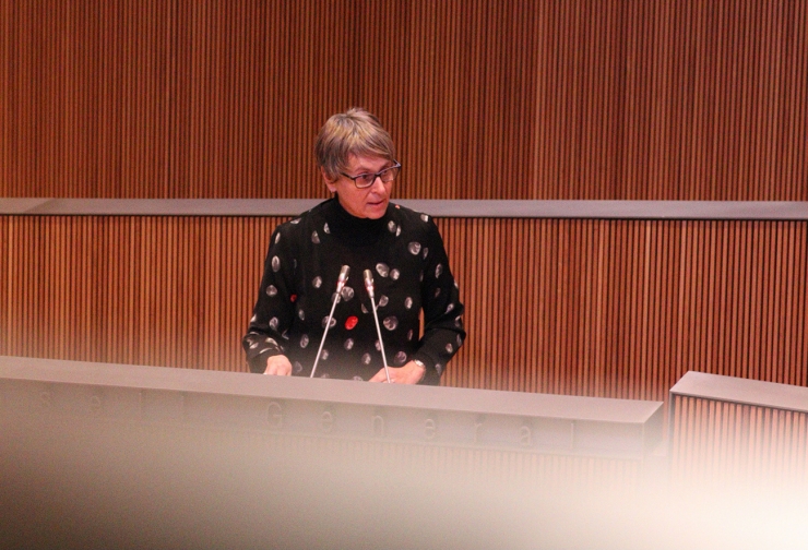 La consellera socialdemòcrata Susanna Vela, aquest dijous al Consell General.