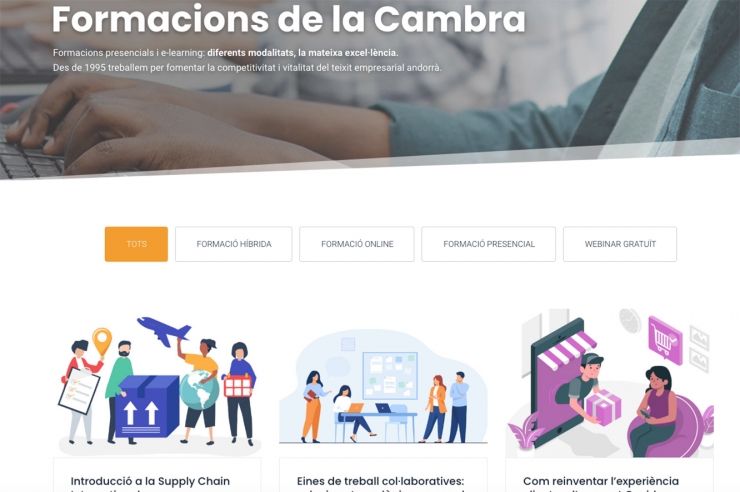 Una imatge de l'apartat web on consten les formacions.