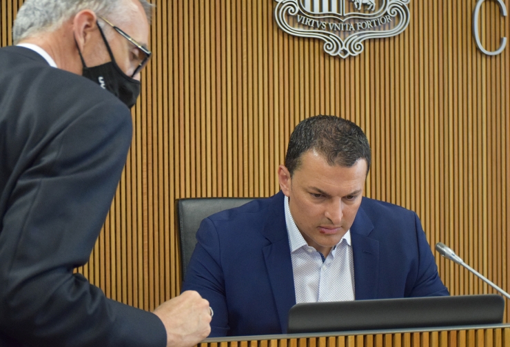 El ministre d'Economia, Jordi Gallardo, aquest divendres al Consell General.