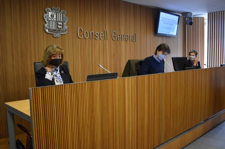 L'experta, Yolanda Valdeolivas, durant la seva compareixença.