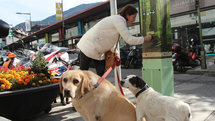 Una dona amb dos gossos en una imatge d'arxiu.