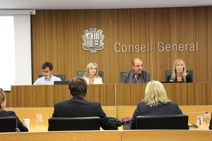 Un moment de la compareixença dels màxims representant de la CASS davant de les comissions legislatives de Finances i Salut per presentar les xifres de la parapública durant el 2021.