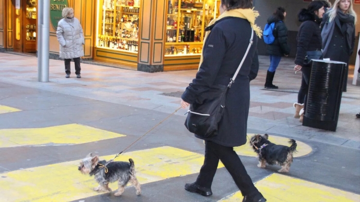 Una dona passeja amb dos gossos.