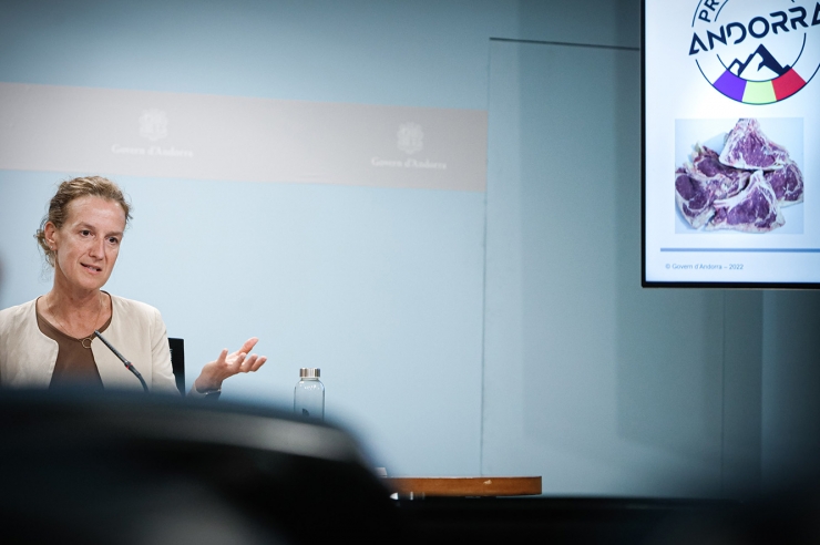 La ministra de Medi Ambient, Agricultura i Sostenibilitat, Sílvia Calvó, durant la roda de premsa posterior al consell de ministres.