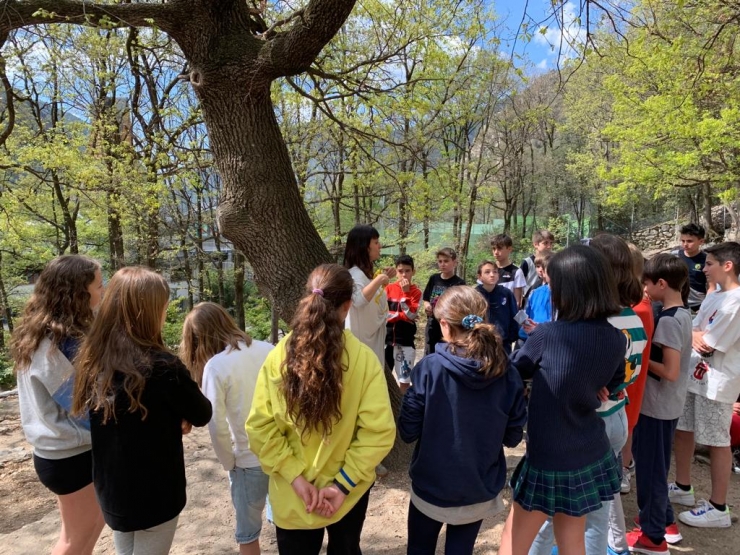 Els alumnes de primària del col·legi Mare Janer.