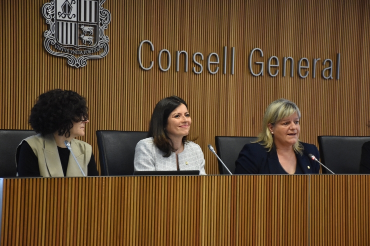 La ministra d'Afers Exteriors, Imma Tor, conversa amb els consellers de la comissió legislativa de Política Exterior.