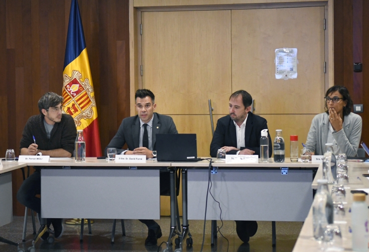 Un moment de la reunió de la Comissió Nacional de l’Energia i del Canvi Climàtic (CNECC)  que ha estat presidida pel secretari d’Estat de Transició Energètica,  Transports i Mobilitat, David Forné.