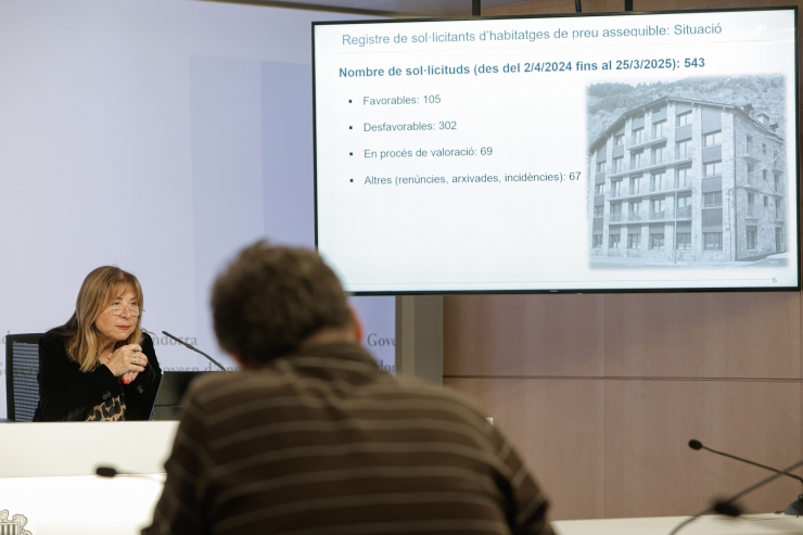 La ministra de Presidència, Economia, Treball i Habitatge, Conxita Marsol, durant la roda de premsa posterior al consell de ministres en què s'han decidit els canvis en el registre.
 