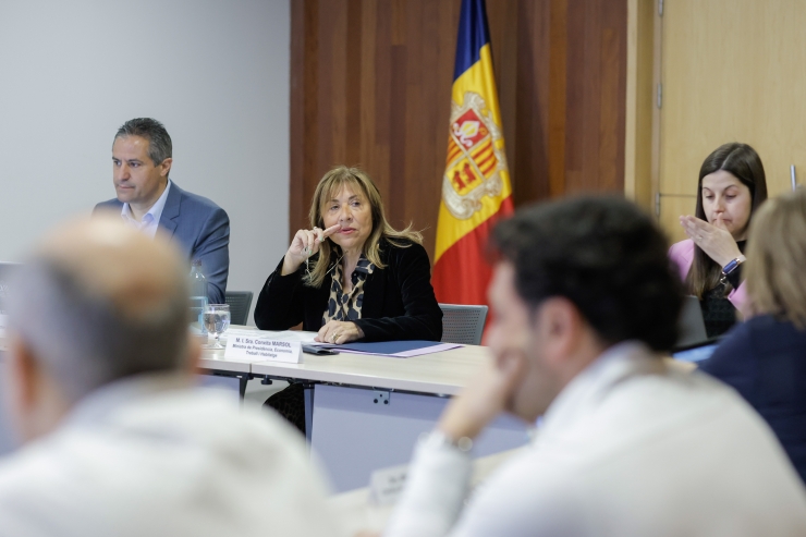 La ministra de Presidència, Economia, Treball i Habitatge, Conxita Marsol, durant la reunió del Consell Andorrà d'Estadística que ha tingut lloc aquest dimarts.