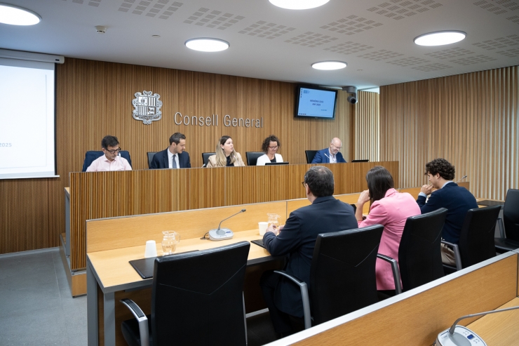 El president del consell d’administració de la CASS, Marc Galabert, i del president de la comissió gestora del FRJ, Jordi Cinca, durant la compareixença d'aquest dimecres al Consell General.
