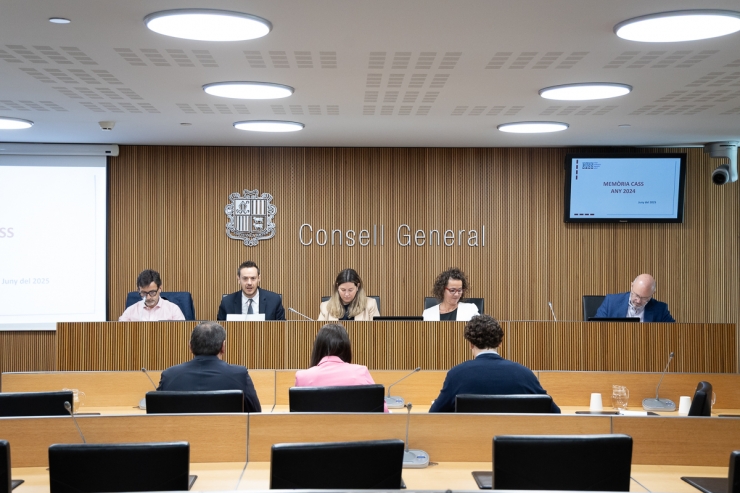 El president del consell d’administració de la CASS, Marc Galabert, i del president de la comissió gestora del FRJ, Jordi Cinca, durant la compareixença d'aquest dimecres al Consell General.
