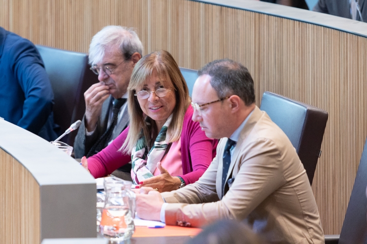 La ministra de Presidència, Economia, Treball i Habitatge, Conxita Marsol, durant la sessió de Consell General.