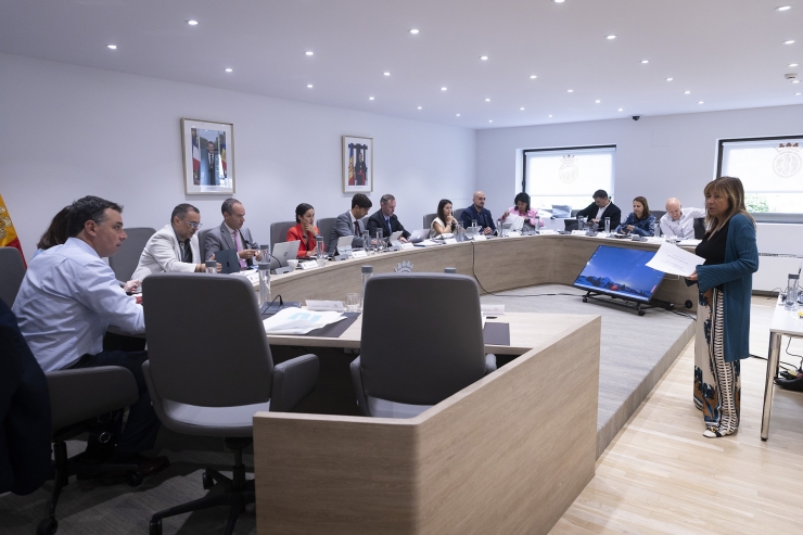 Un moment de la compareixença de la ministra de Presidència, Economia, Treball i Habitatge, Conxita Marsol, a la reunió de cònsols celebrada aquest dimarts.