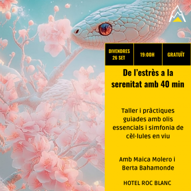 Cartell promocional de l'activitat.