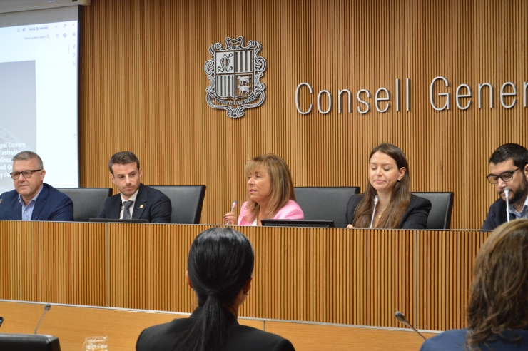 Un moment de la compareixença de la ministra de Presidència, Economia, Treball i Habitatge, Conxita  Marsol, al davant de la comissió legislativa d'Economia per presentar el Pla estratègic d’innovació.
 