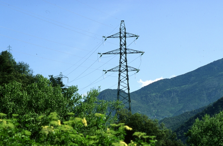 FEDA preveu reprendre la licitació durant el 2026.