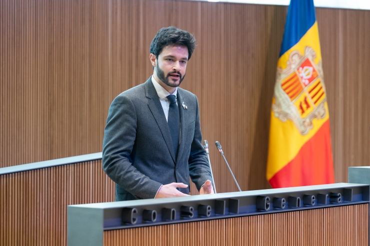 El president del grup parlamentari de Concòrdia, Cerni Escalé, al Consell General.