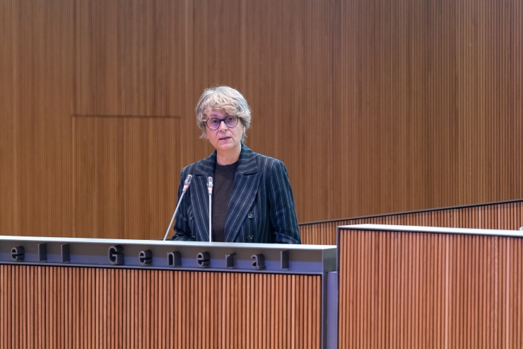 La presidenta suplent del grup parlamentari Socialdemòcrata, Susanna Vela, al Consell General.