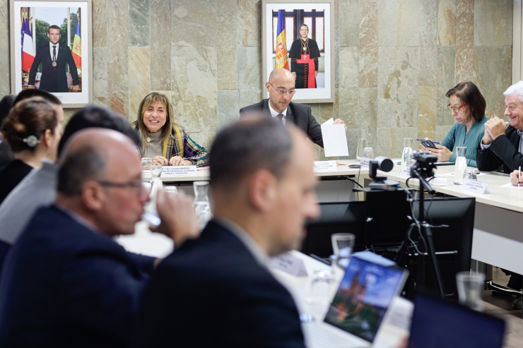 La darrera sessió del Consell Econòmic i Social (CES).