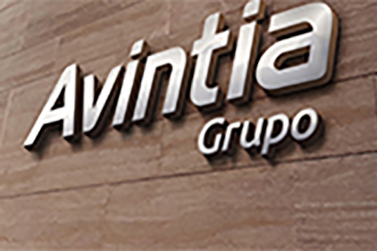 Avintia construirà 50 habitatges al Tarter.