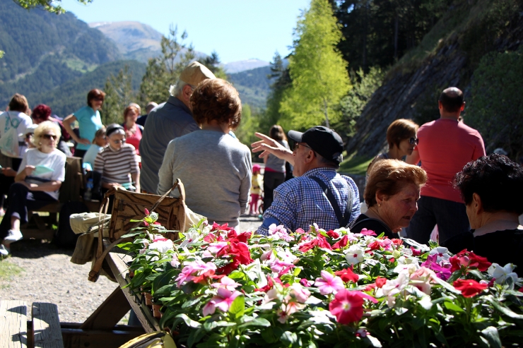 Les plantes que s'han entregat en ofrena.