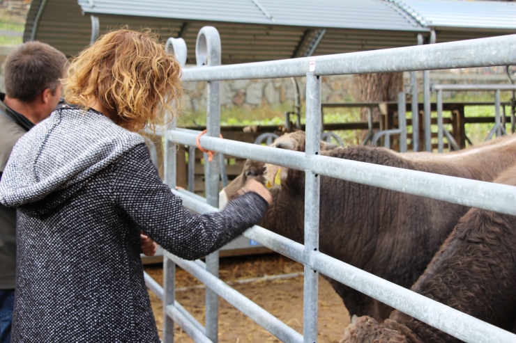 La ministra de Medi Ambient, Agricultura i Sostenibilitat, Silvia Calvó, donant menjar a un dels animals de la casa.