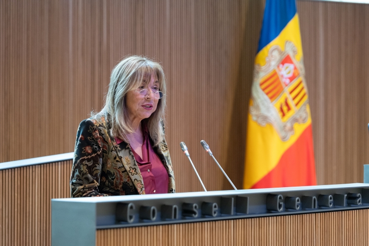 La ministra de Presidència, Economia, Treball i Habitatge, Conxita Marsol, al Consell General.