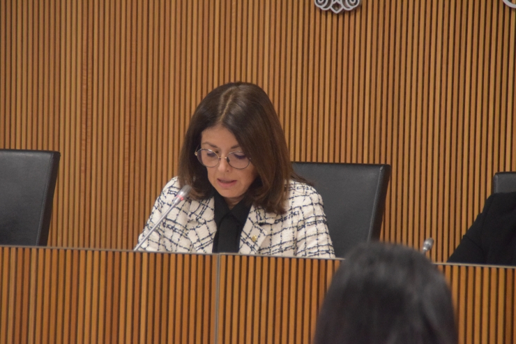 La ministra d'Afers Exteriors, Imma Tor, durant la compareixença.
 