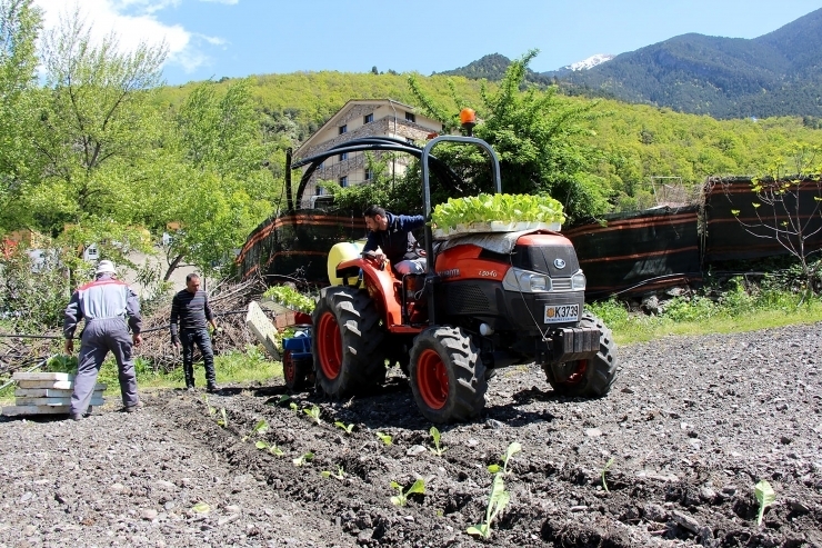 Lleuger repunt en l'índex de confiança empresarial.