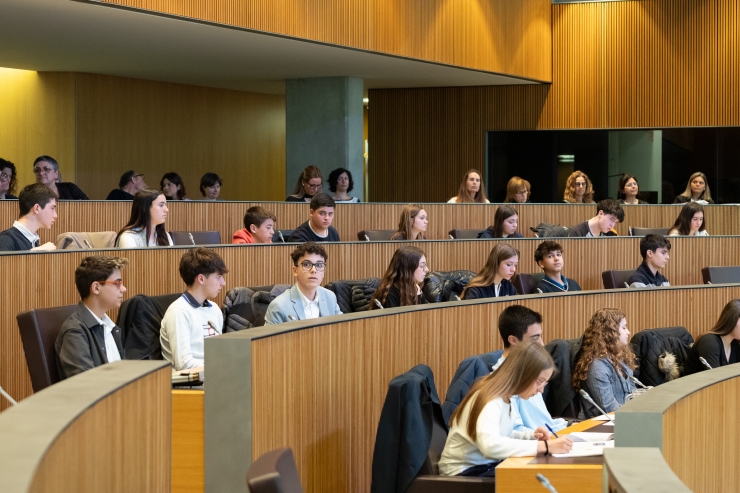 La sessió del Consell General de Joves que ha tingut lloc aquest dimecres.