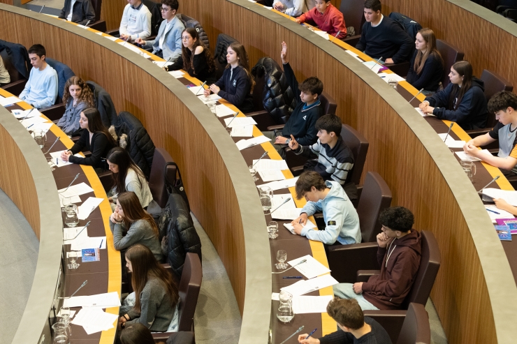 La sessió del Consell General de Joves que ha tingut lloc aquest dimecres.