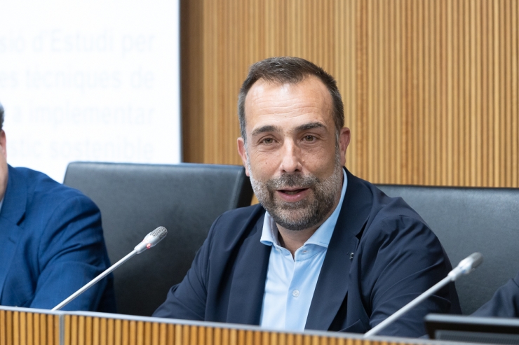 Daniel Armengol, en compareixença al Consell General.