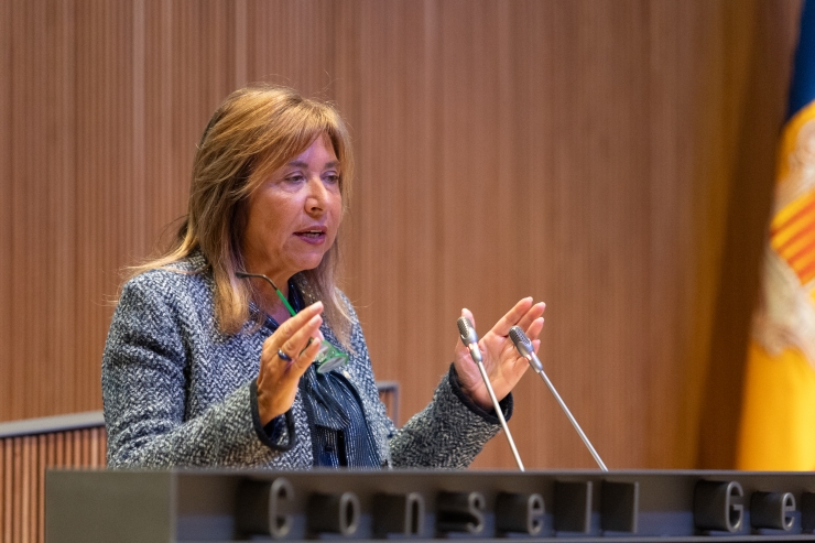 La ministra de Presidència, Economia, Treball i Habitatge, Conxita Marsol, al Consell General.