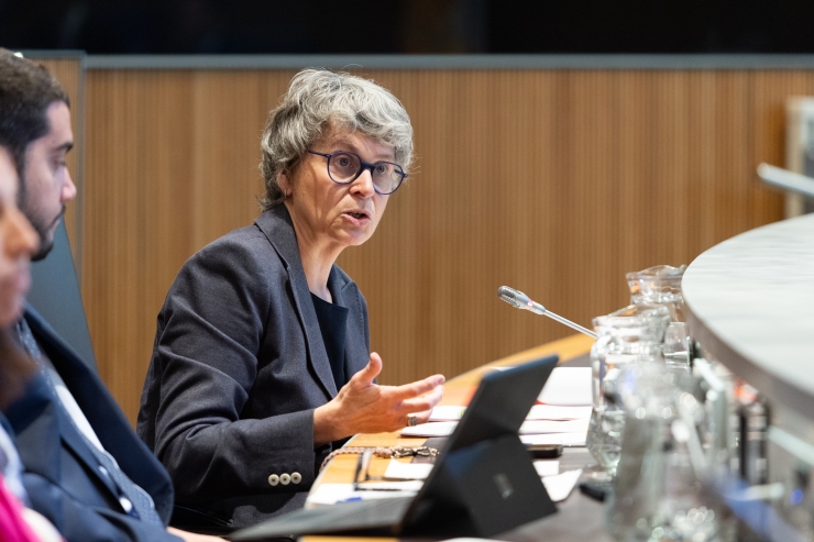 La consellera general del grup parlamentari del PS, Susanna Vela.
