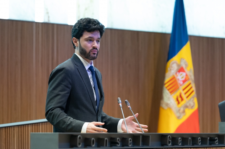 El president del grup parlamentari de Concòrdia, Cerni Escalé.