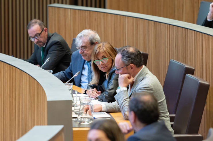 La ministra de Presidència, Economia, Treball i Habitatge, Conxita Marsol, en sessió de Consell General.