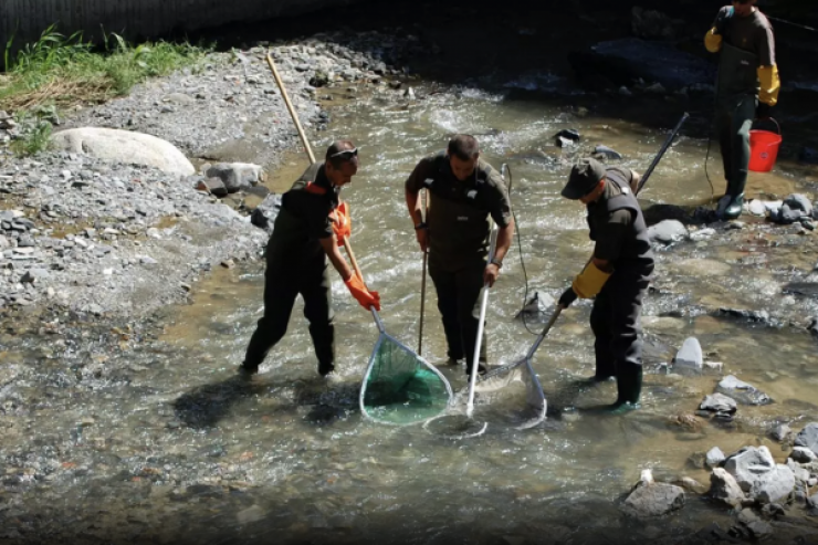 Més despesa pública en protecció del medi ambient.
