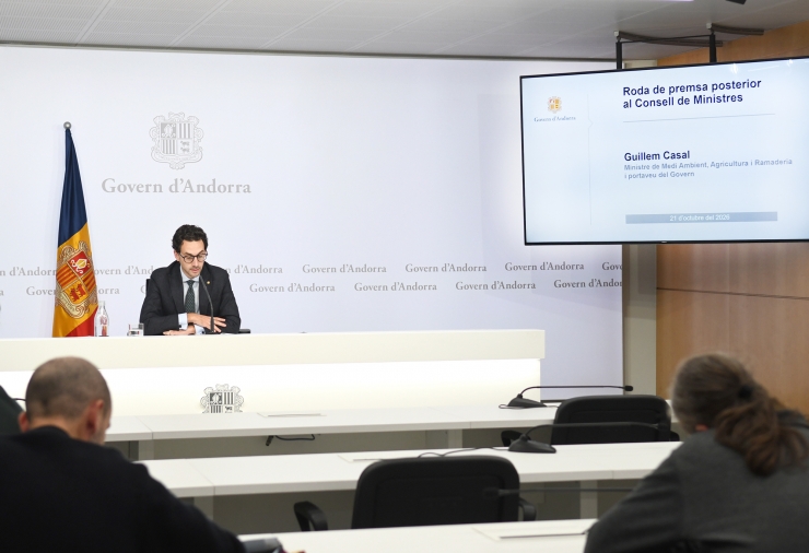 El ministre portaveu, Guillem Casal, durant la roda de premsa posterior al consell de ministres d'aquest dimecres.